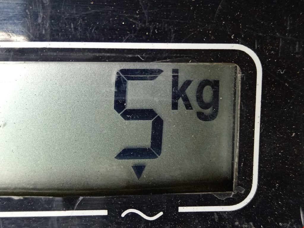 Усилитель переднего бампера (передний) MINI Hatch R50/R53 3-door 2001-2006