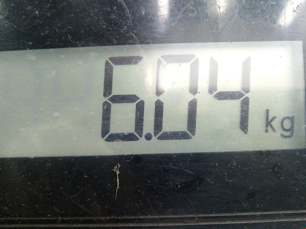 Амортизатор передний правый SKODA Fabia MK2 5J 2007-2014