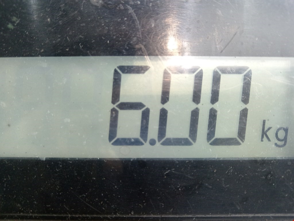 Амортизатор передний правый VOLKSWAGEN Polo V HB 2009-2017