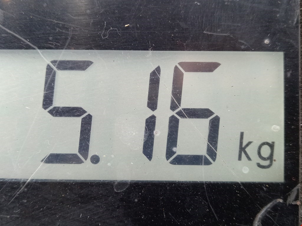 Стабилизатор передний (поперечной устойчивости подвески) SKODA Octavia A5 1Z- 2004-2013