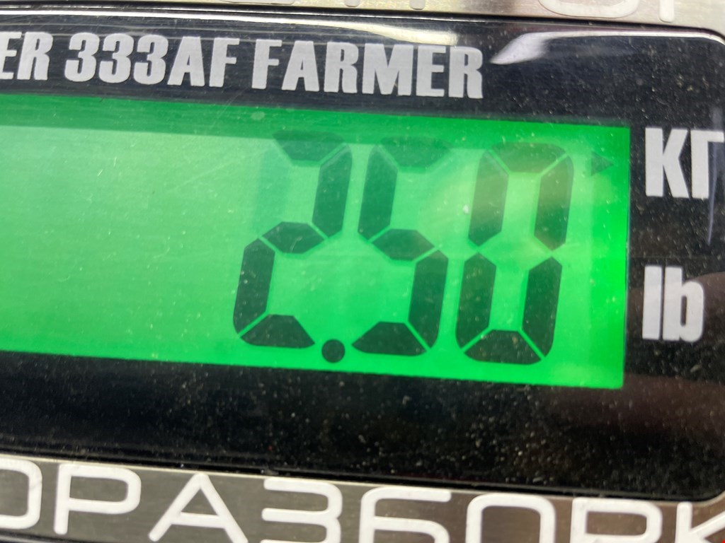 Стекло двери заднее правое OPEL Astra G 1998-2005