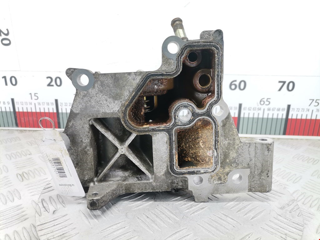 Кронштейн генератора NISSAN Qashqai J10 2006-2013