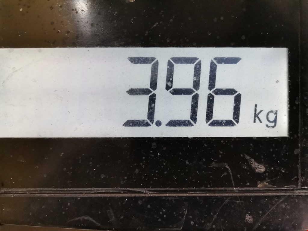 Коллектор выпускной VOLVO V50 I 2004-2012