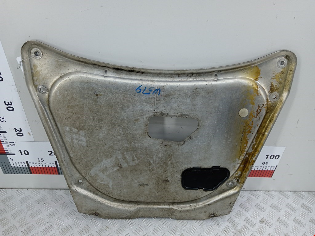 Защита антигравийная BMW X5 E53 1999-2006