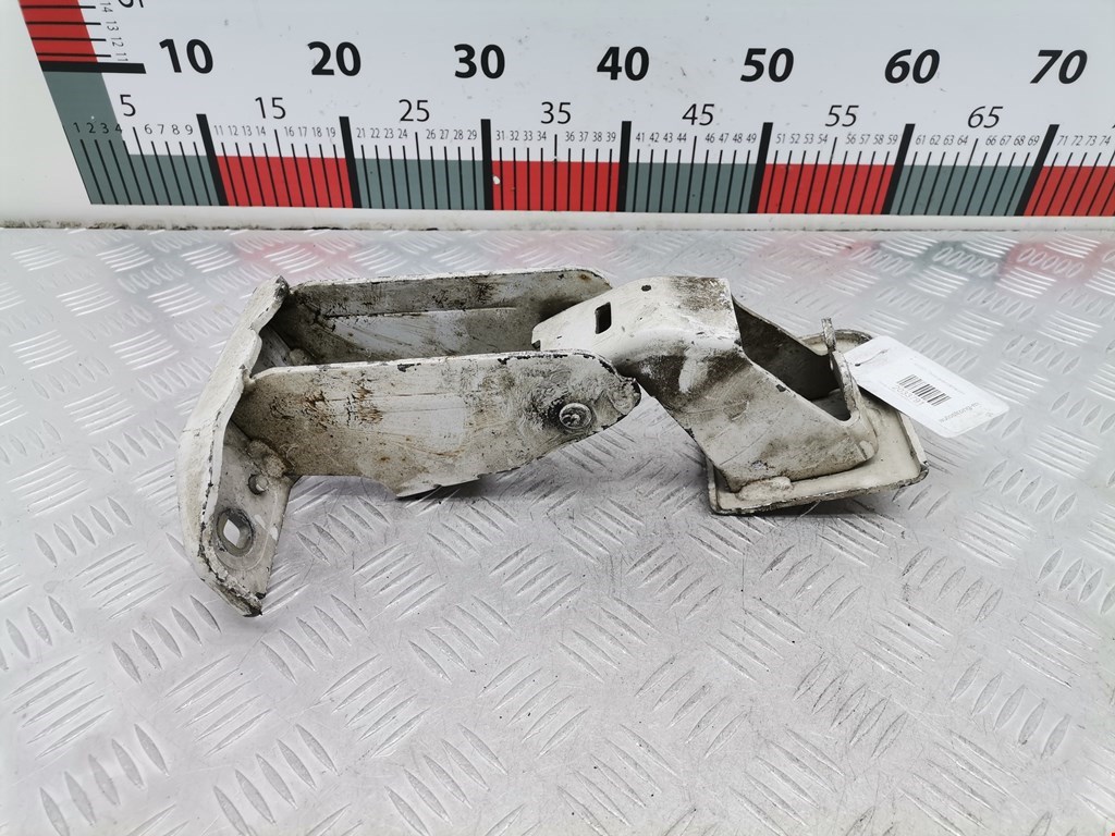 Петля двери распашной Citroen Jumpy (Dispatch) 2 (2006-2016)