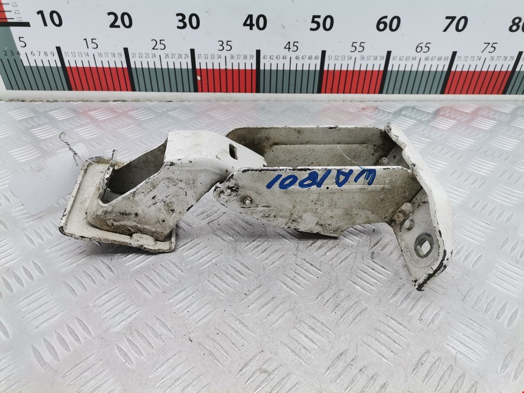 Петля двери распашной Citroen Jumpy (Dispatch) 2 (2006-2016)