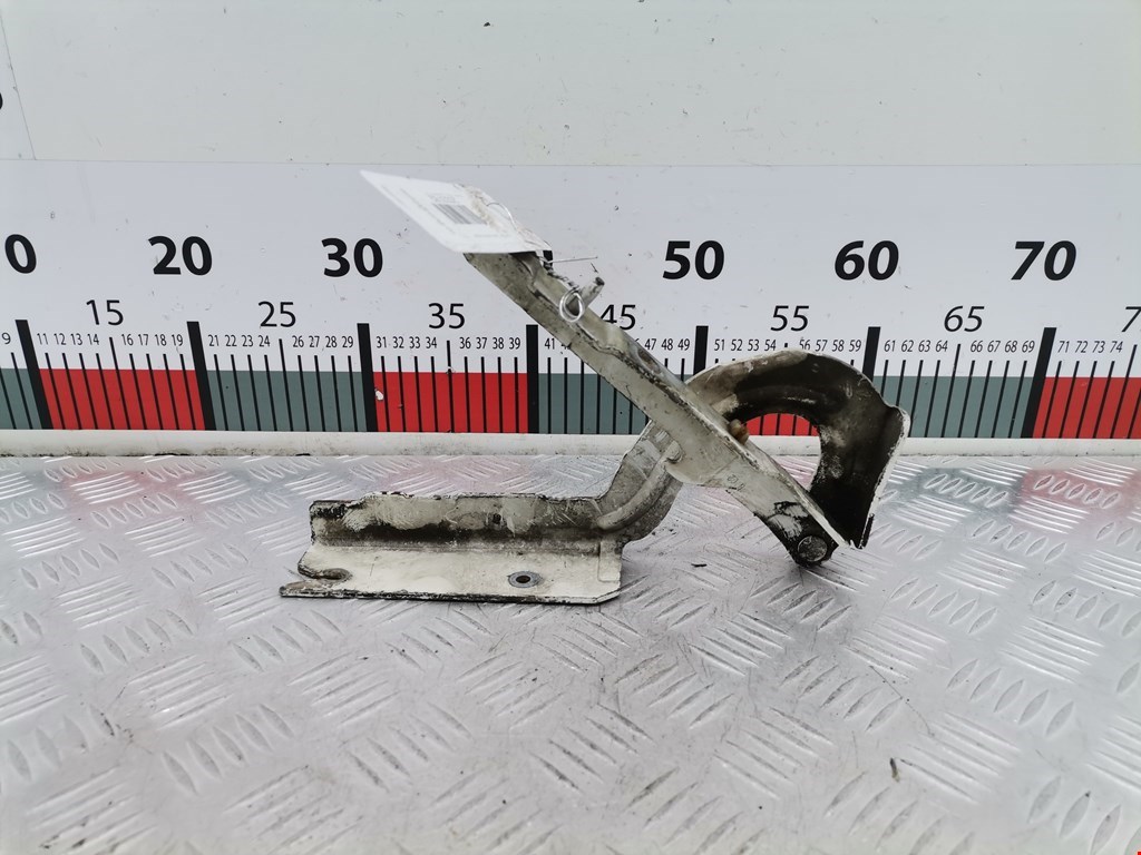 Петля капота левая/правая CITROEN Jumpy 2007-2016