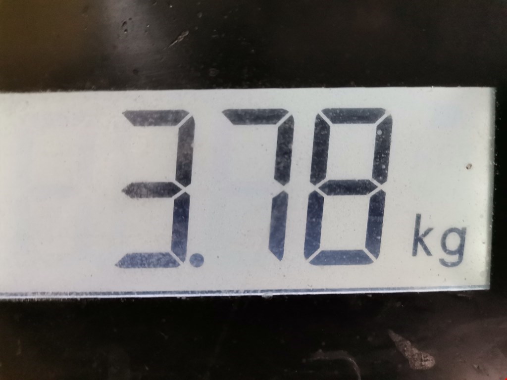 Коллектор впускной FORD C-MAX 2003-2010