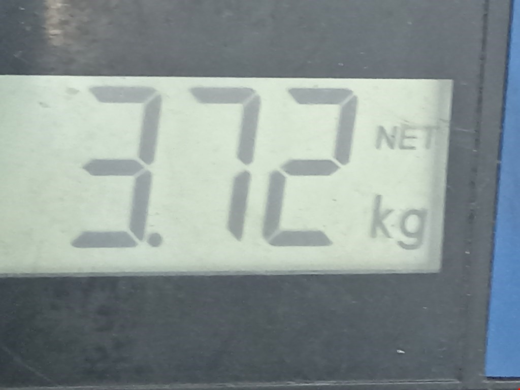 Поддон масляный двигателя MINI Hatch R56 3-door 2007-2013