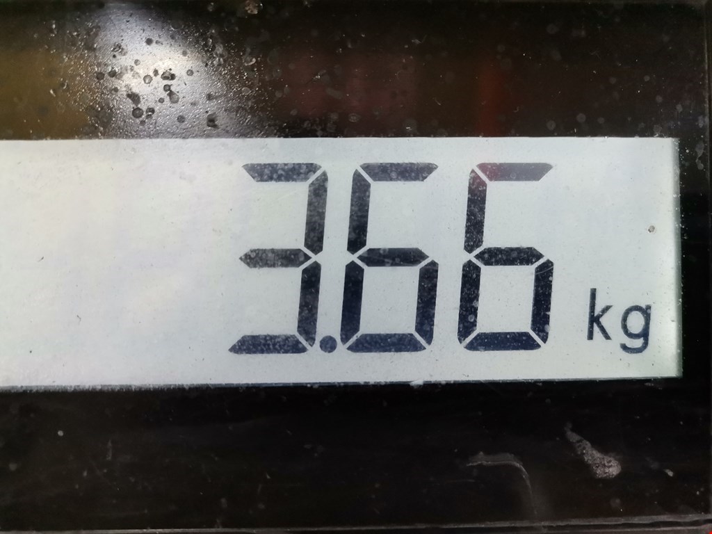 Рычаг передний левый CITROEN Berlingo 1996-2012