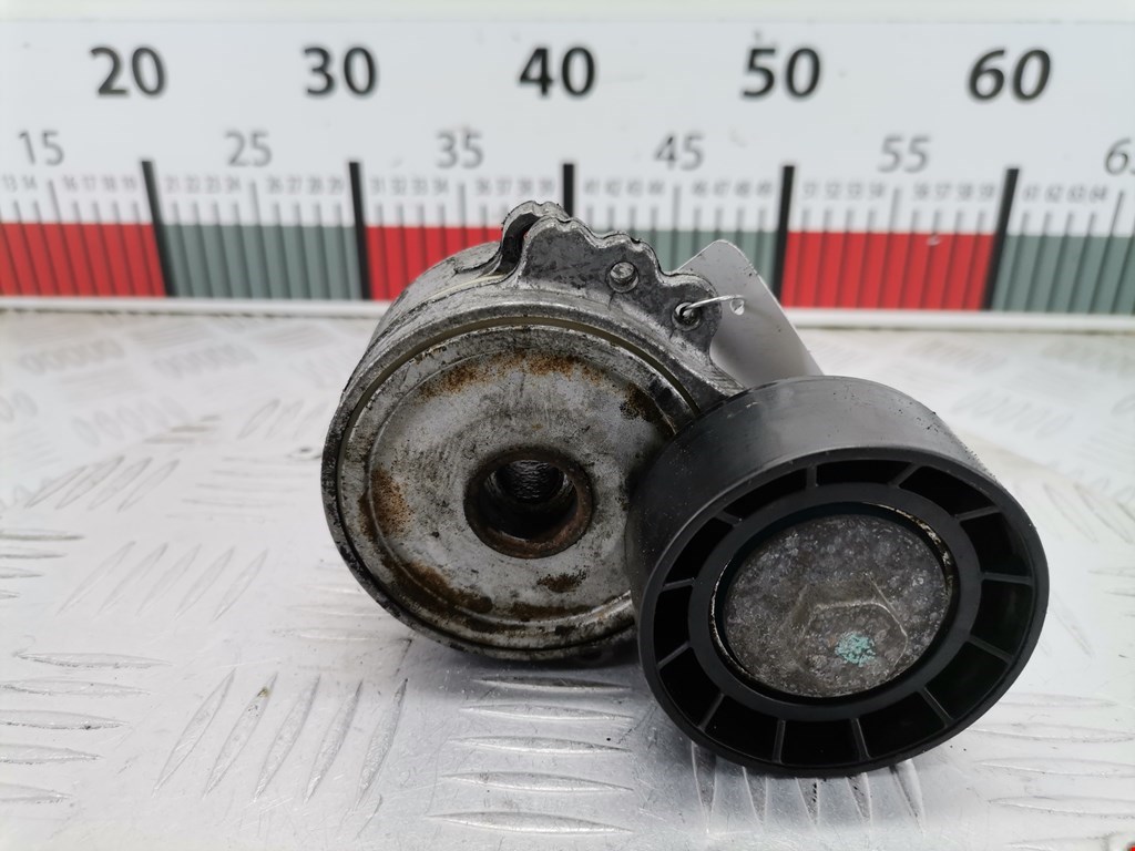 Натяжитель ремня генератора (приводного поликлинового ремня Fiat Ducato 2 (230) (1994-2006)