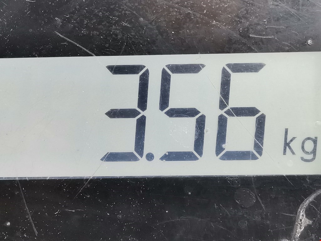 Лонжерон передний левый FORD Focus I 1998-2005