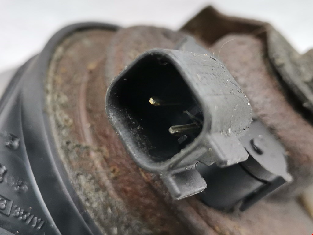 Сигнал звуковой (гудок клаксон) FORD Focus I 1998-2005