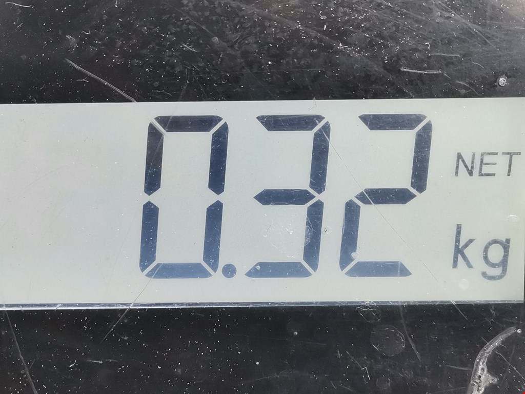 Сигнал звуковой (гудок клаксон) FORD Focus I 1998-2005