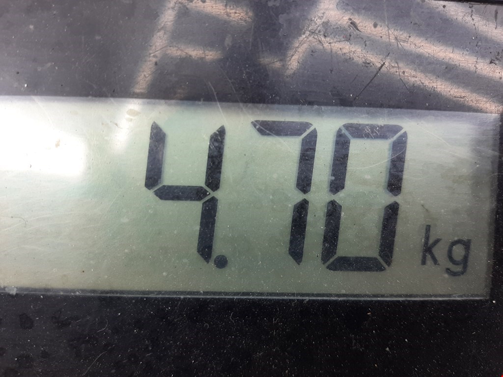 Крышка двигателя передняя SUBARU Forester III 2008-2013