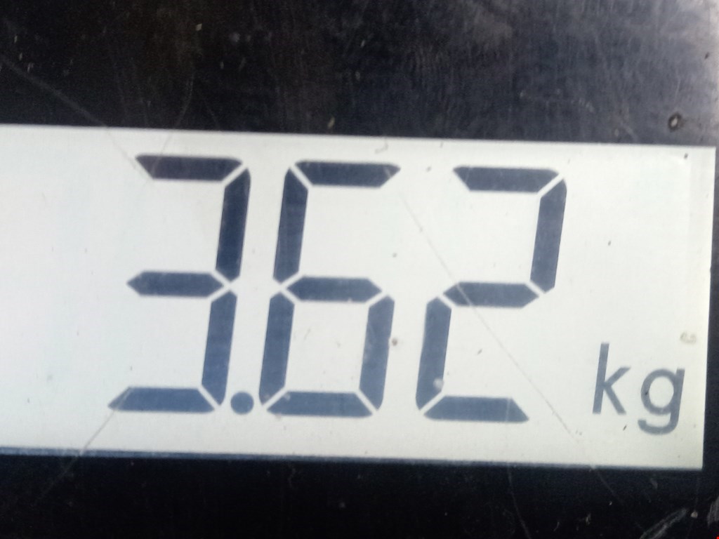 Поддон масляный двигателя BMW 5er 5 серия E60/E61 2003-2010