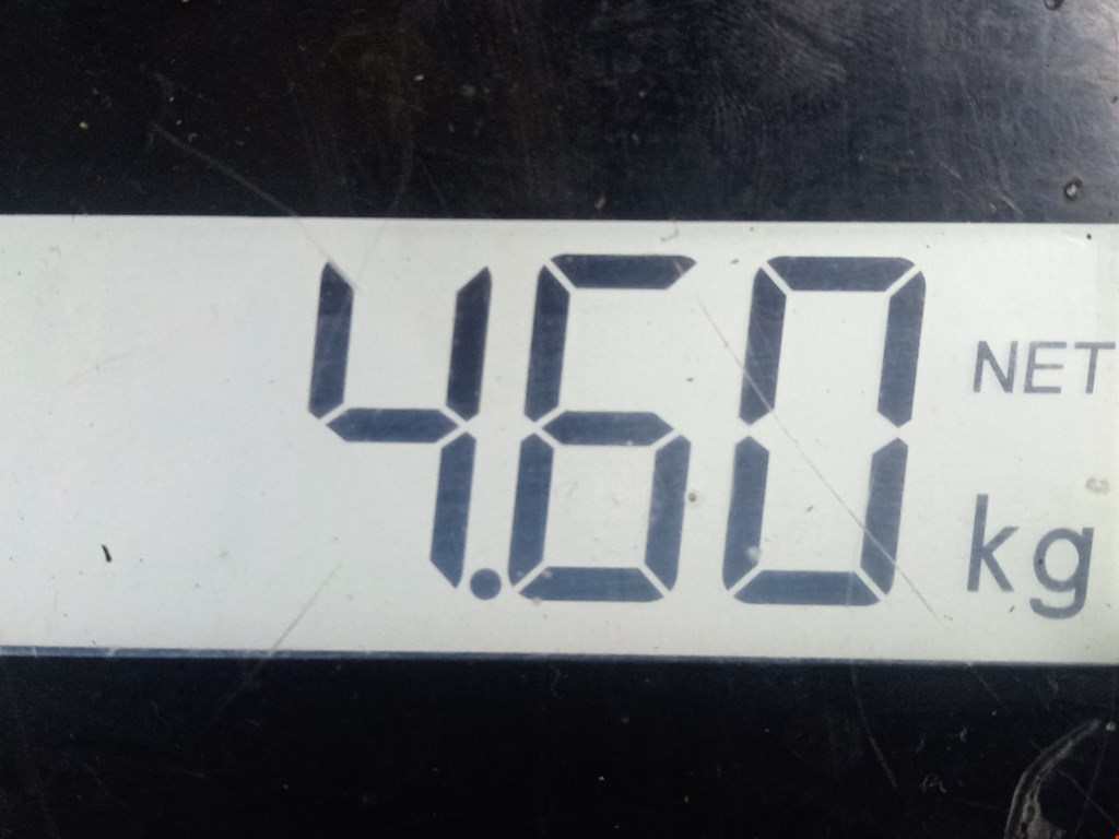 Поддон масляный двигателя MERCEDES-BENZ A-Class W168 1997-2004