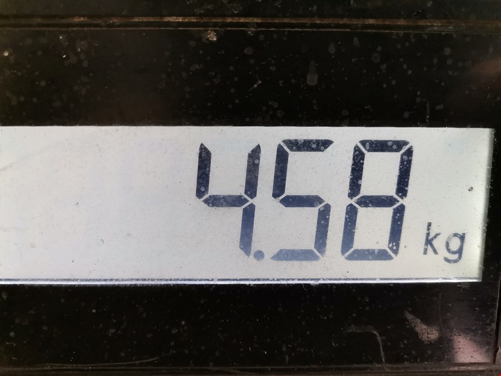 Поддон масляный двигателя MERCEDES-BENZ A-Class W168 1997-2004