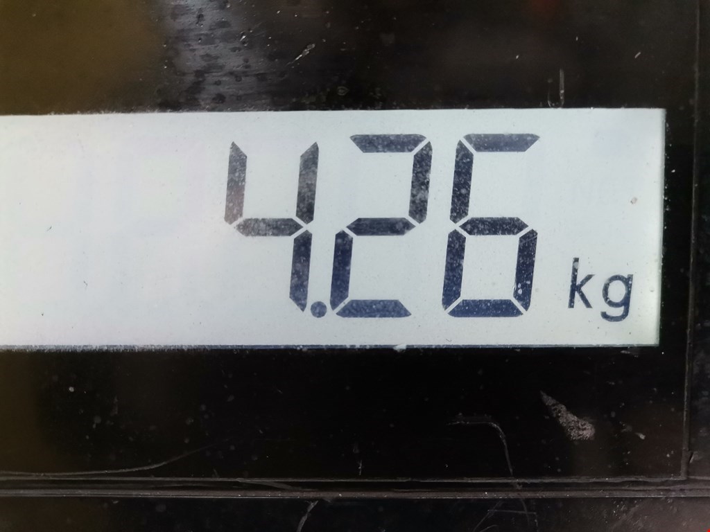 Стабилизатор передний (поперечной устойчивости подвески) NISSAN Micra K12 2003-2010