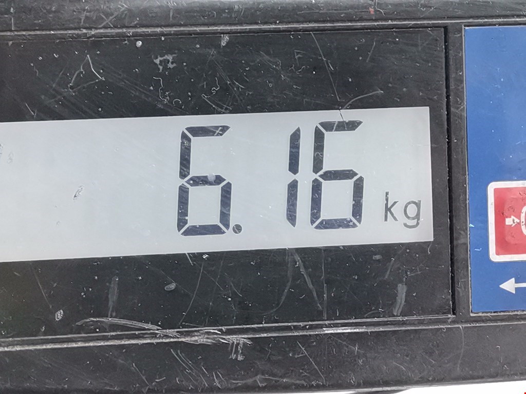 Барабан тормозной задний FORD Focus II 2005-2011