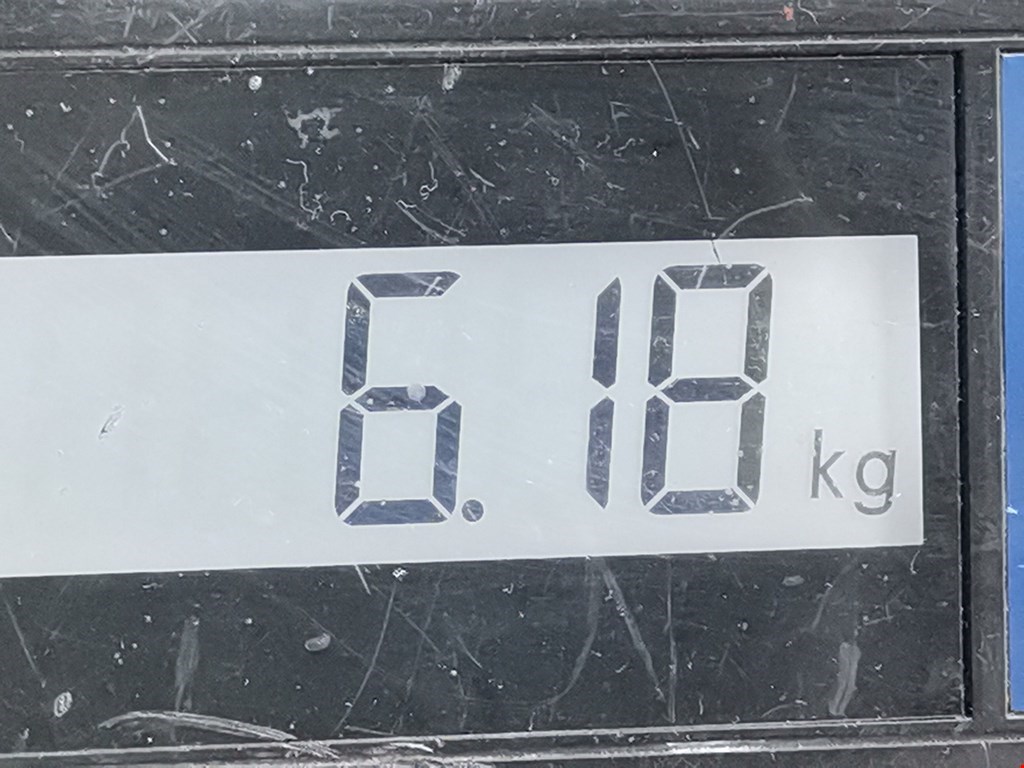 Барабан тормозной задний FORD Focus II 2005-2011