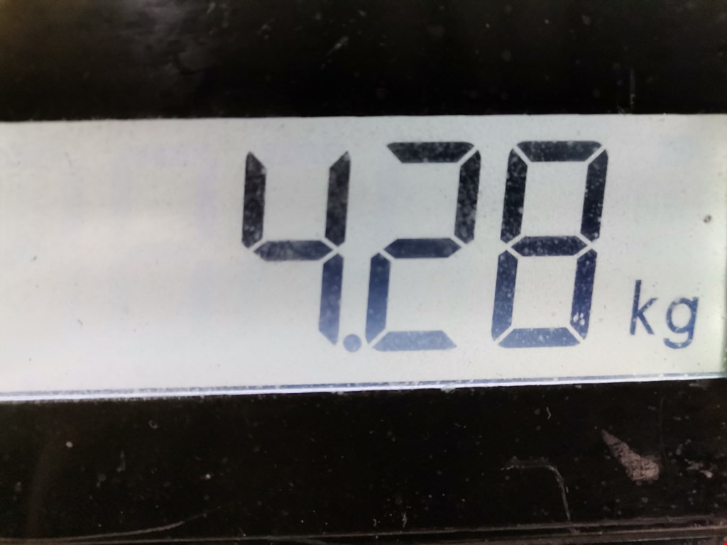 Рычаг передний левый KIA Carens 2006-2012