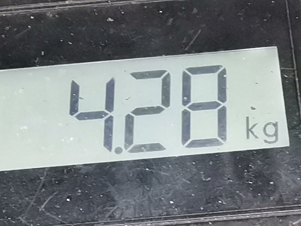 Стекло двери переднее левое AUDI A6 C6 2004-2010