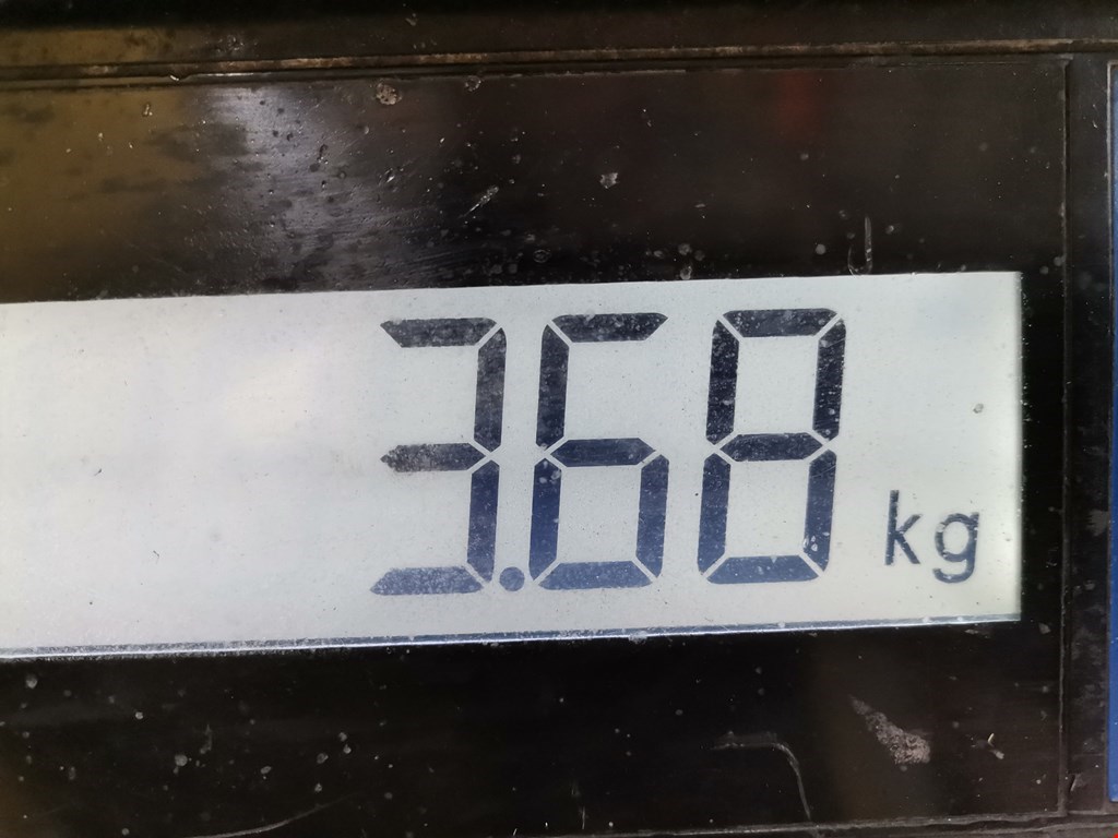 Рычаг передний левый CITROEN Berlingo 1996-2012