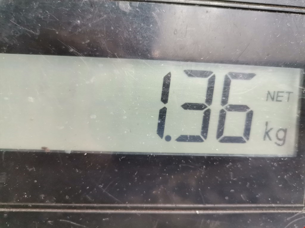 Насос водяной (помпа) FORD Focus I 1998-2005