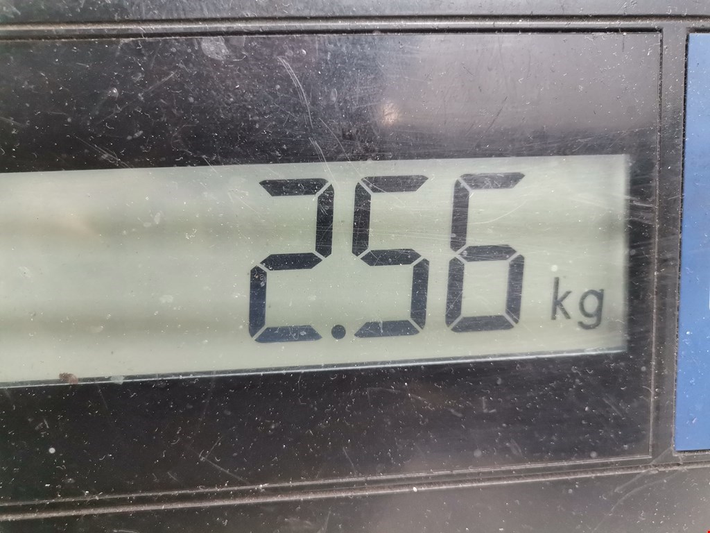 Ступица задняя левая SEAT Toledo 1998-2004