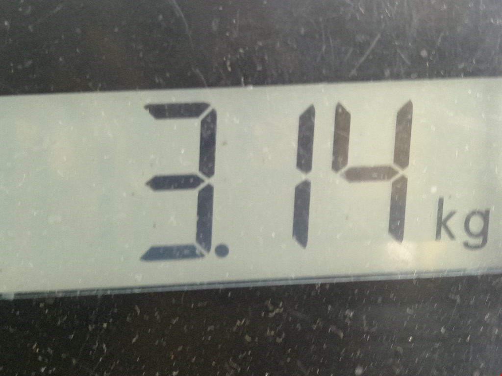 Ступица передняя левая/правая VOLKSWAGEN Phaeton 2002-2016