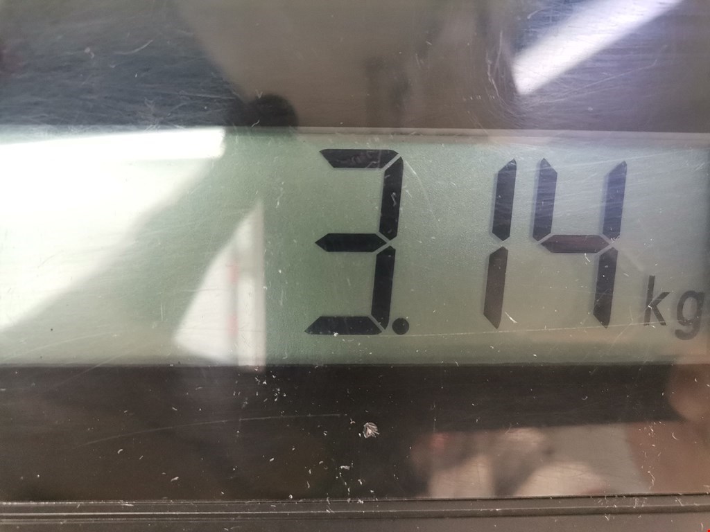 Стекло двери заднее левое VOLVO V40 I 1995-2004