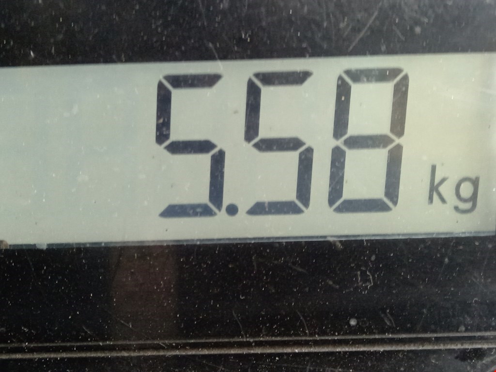 Пружина передняя левая/правая CITROEN Berlingo 1996-2012