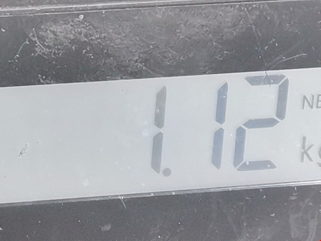 Амортизатор крышки (двери) багажника SEAT Toledo 2004-2009