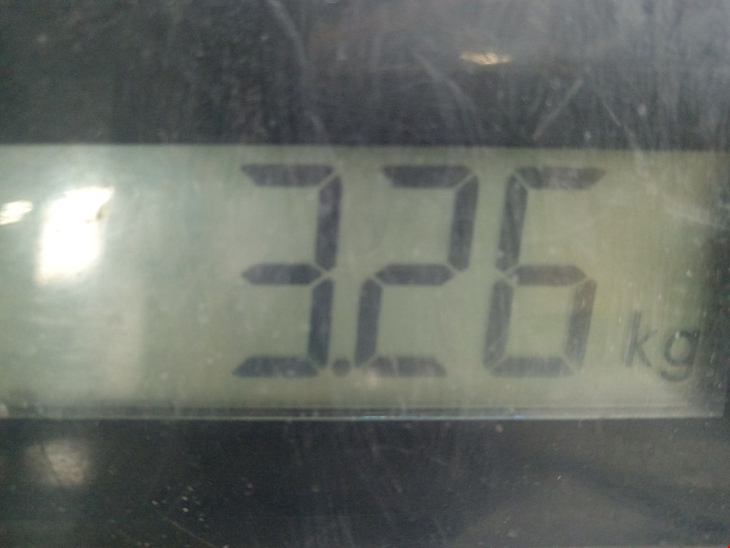 Стабилизатор передний (поперечной устойчивости подвески) AUDI A4 B5 1995-2001