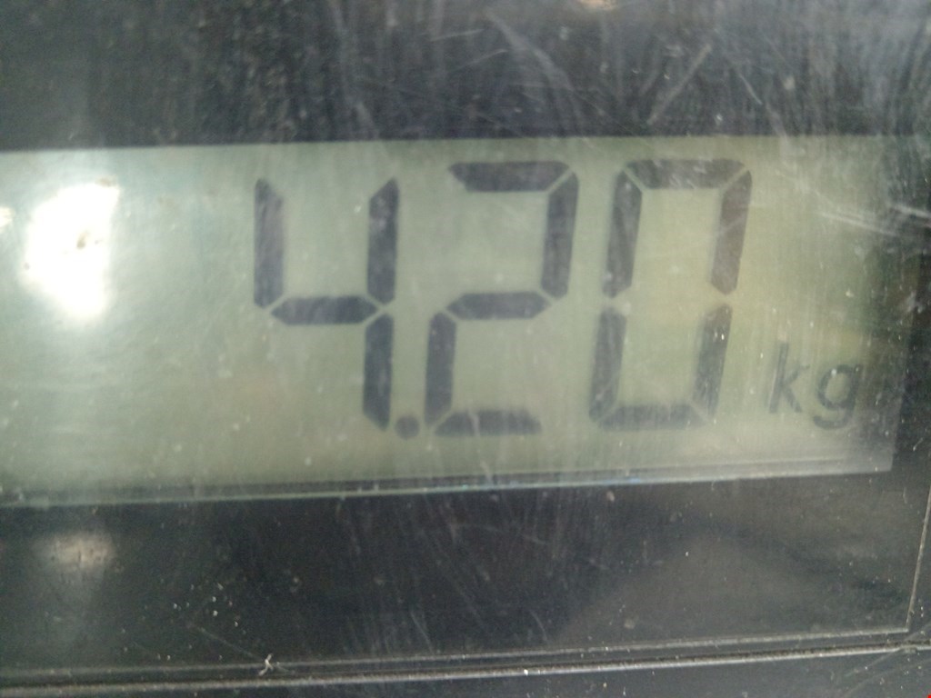 Стабилизатор передний (поперечной устойчивости подвески) MITSUBISHI Carisma 1995-1999