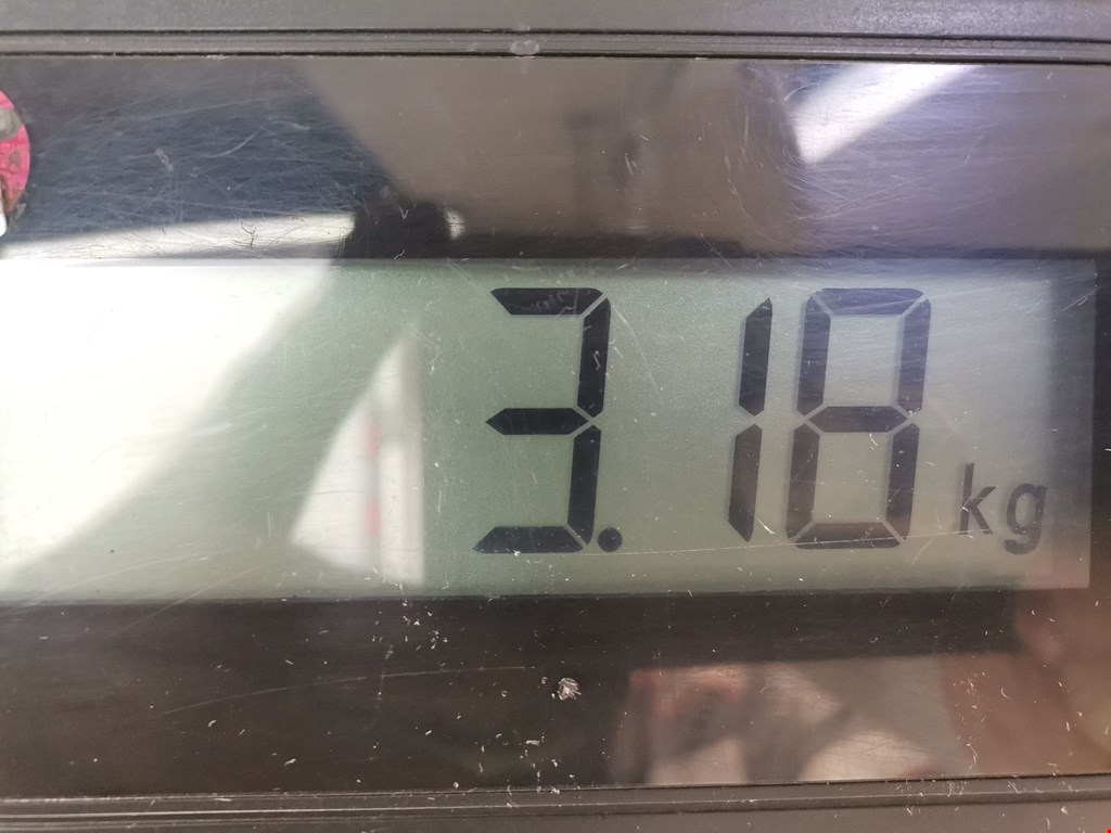 Стекло двери заднее правое OPEL Vectra Vectra B 1995-2002