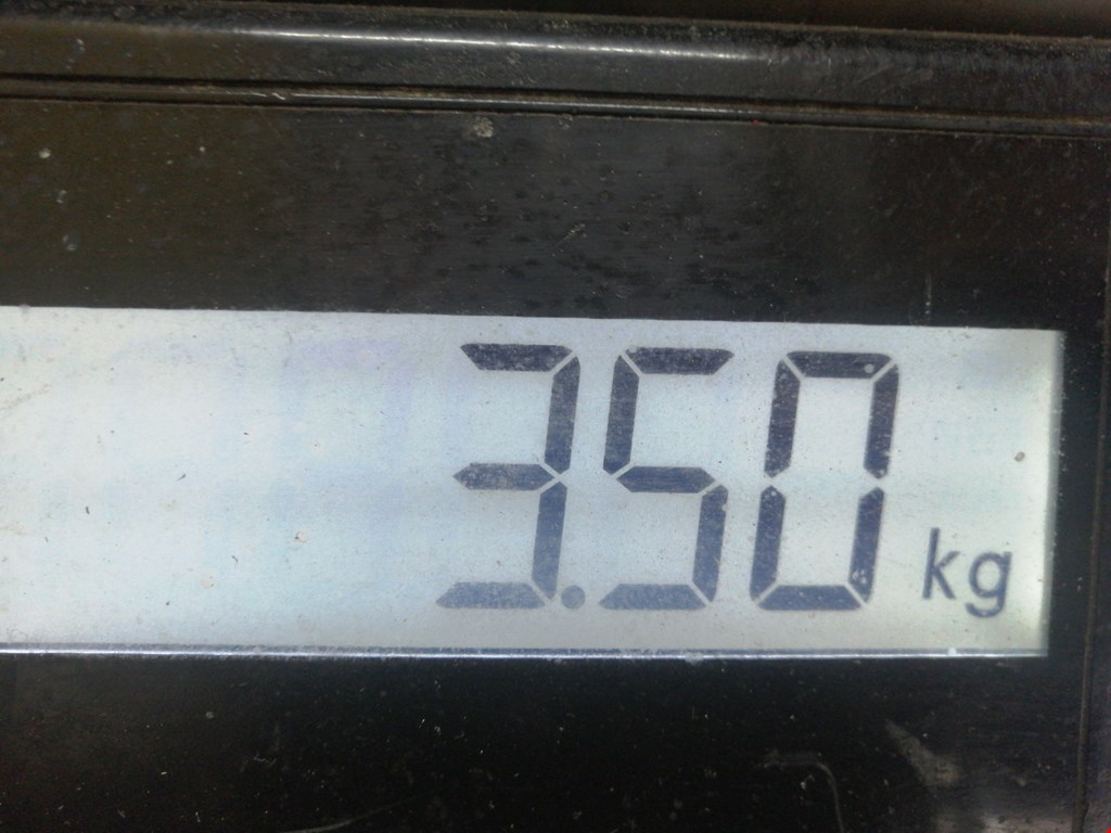 Коллектор выпускной LANCIA Delta III (844) 2008-2014