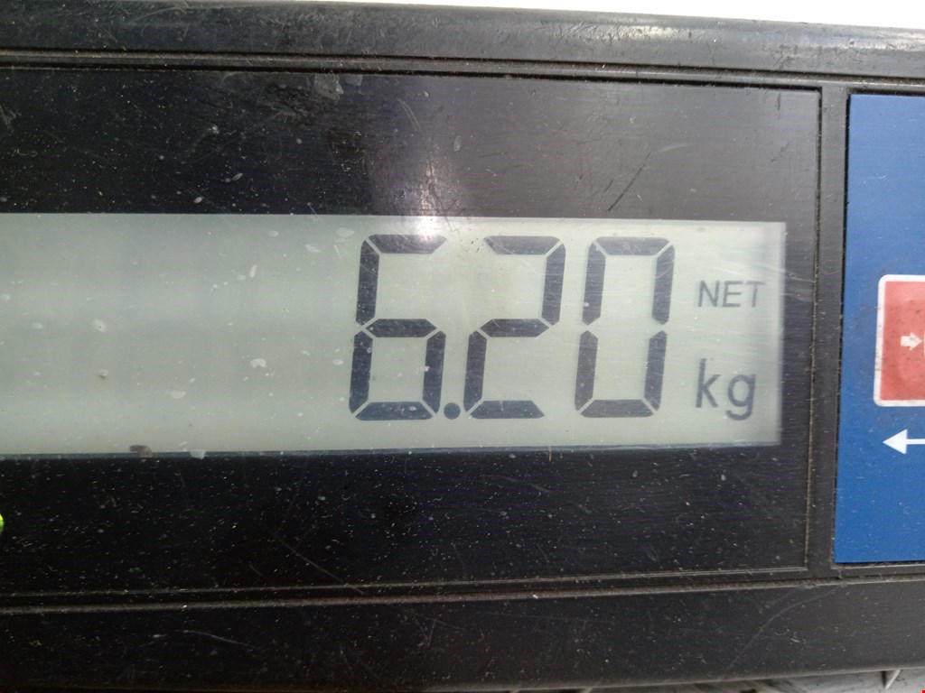 Диск тормозной задний FORD Focus I 1998-2005