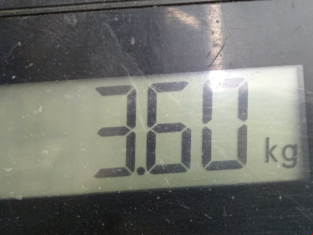 Рычаг передний левый CITROEN Berlingo 1996-2012