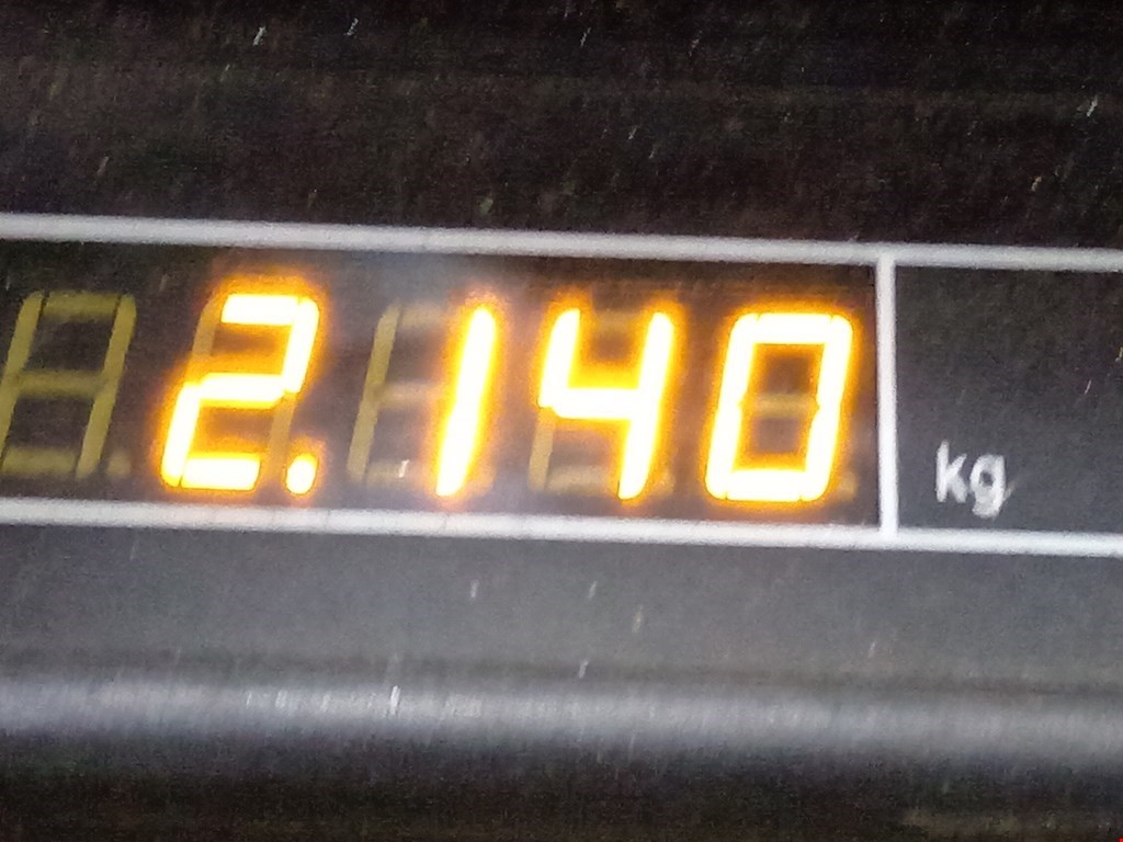 Стеклоподъемник задний левый VOLKSWAGEN Bora 1998-2005