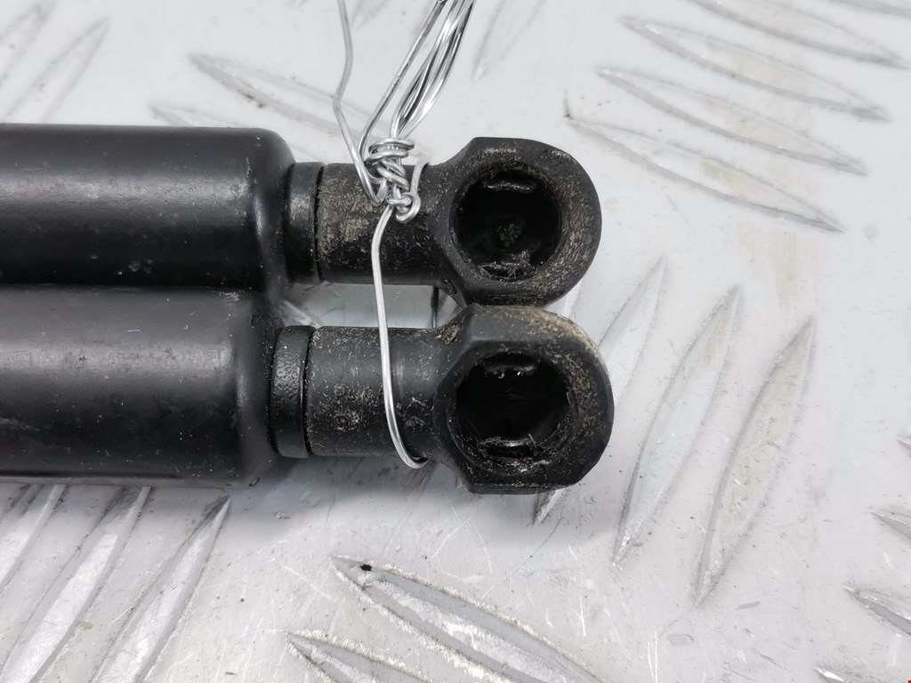 Амортизатор крышки (двери) багажника RENAULT Scenic I 1996-2003