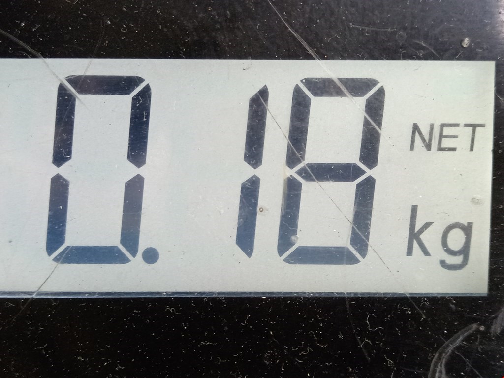 Решетка в бампер VOLKSWAGEN Bora 1998-2005