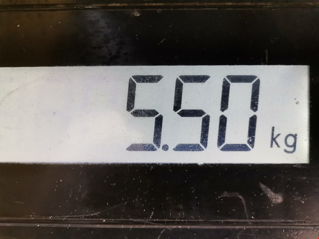 Поддон масляный двигателя MAZDA Mazda 5 CR 2005-2010