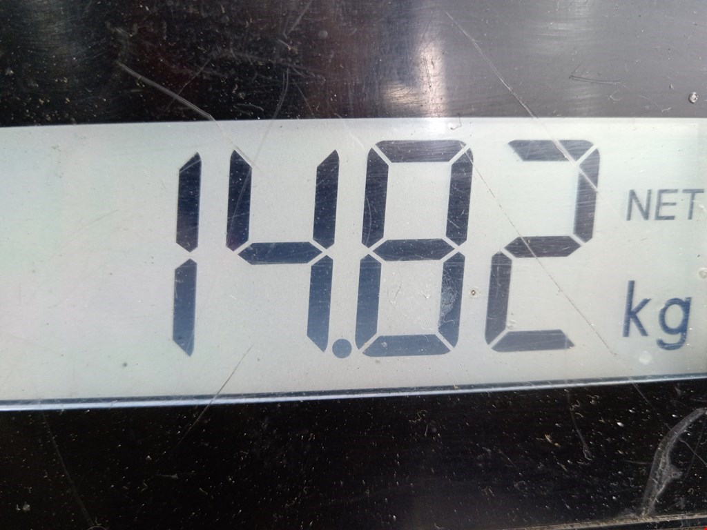 Амортизатор передний левый PEUGEOT 206 1998-2012