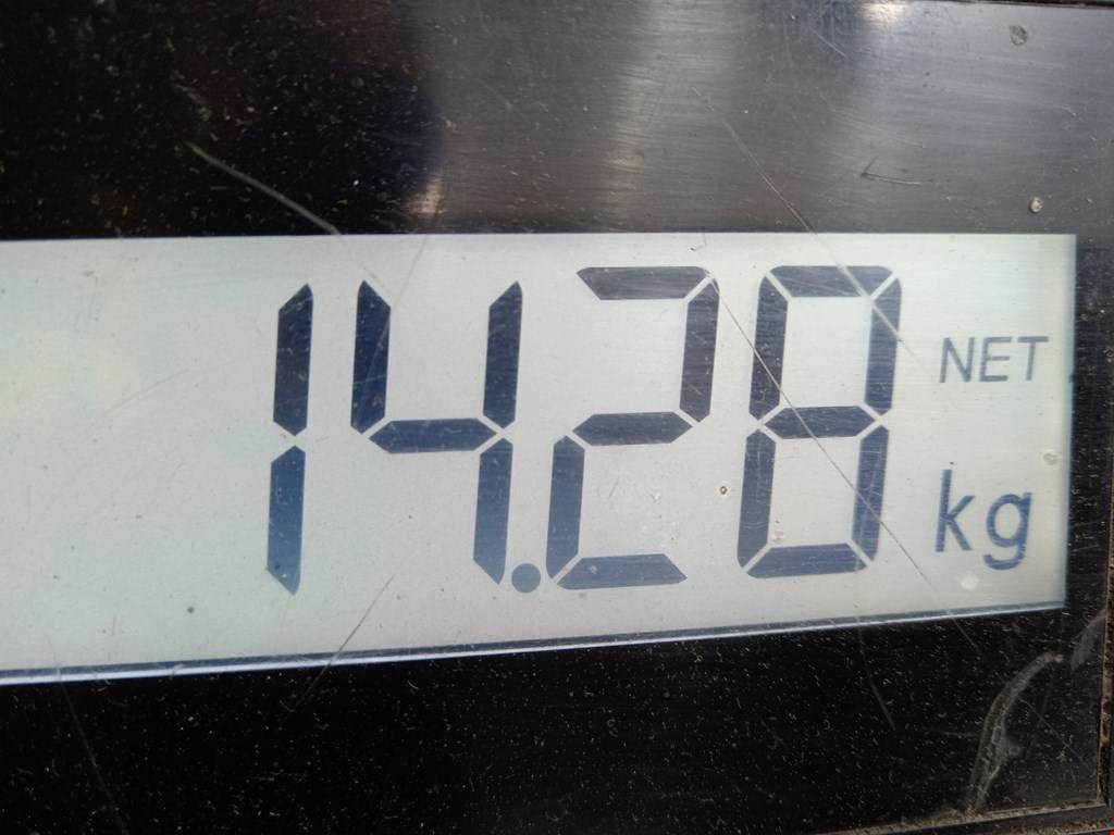 Амортизатор передний левый MAZDA Mazda 3 BK 2003-2009