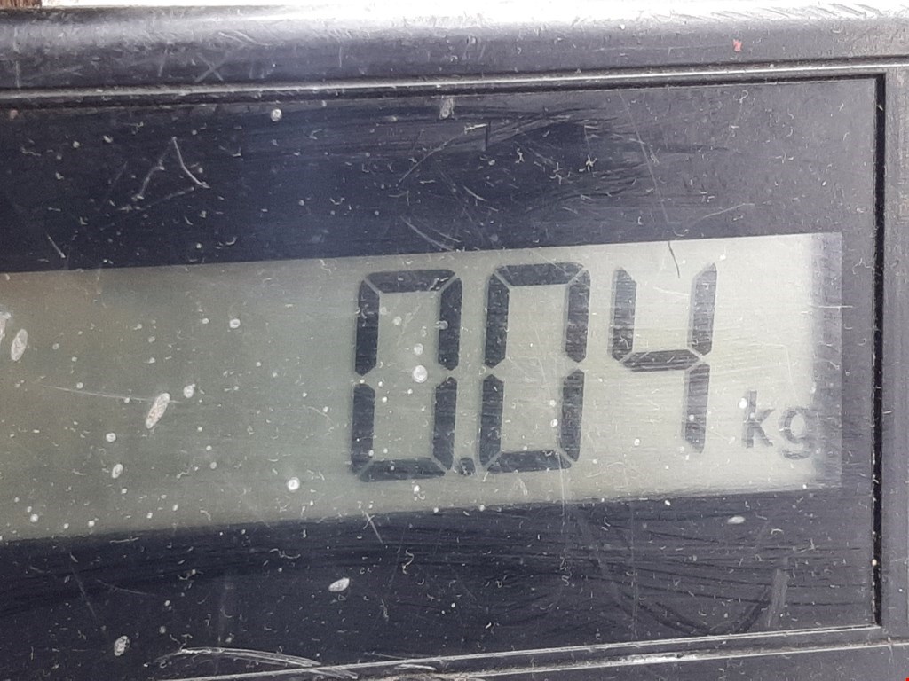 Датчик положения распредвала MAZDA Mazda 6 GG 2000-2007