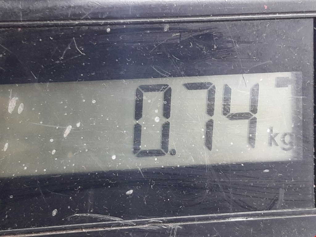 Корпус масляного фильтра MAZDA Mazda 6 GG 2000-2007