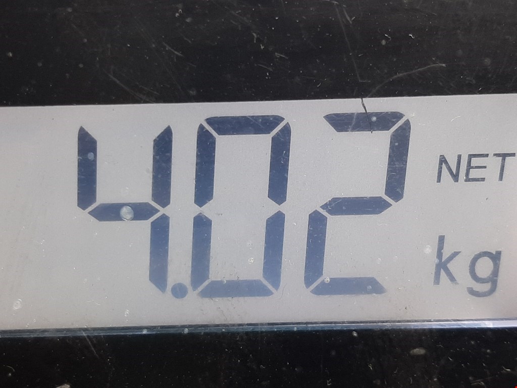 Коллектор впускной VOLKSWAGEN Bora 1998-2005