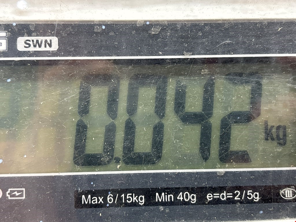 Реле FORD Focus I 1998-2005